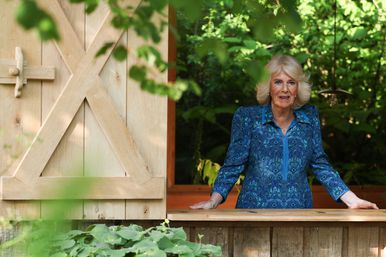 Queen Camilla looks out over garden at Chelsea Flower Show 2024